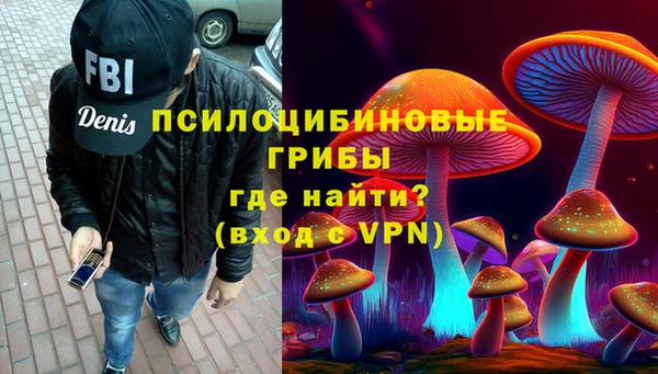дживик Абаза
