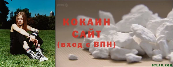 дживик Абаза