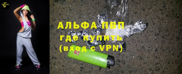 дживик Абаза
